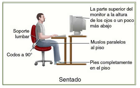 Soporte Lumbar Postural